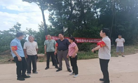 乡村振兴工作动态（第170期）